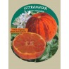 Citrus meyer sanguine