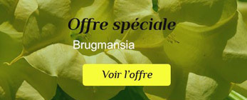 Offre spéciale